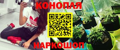 индика Абакан