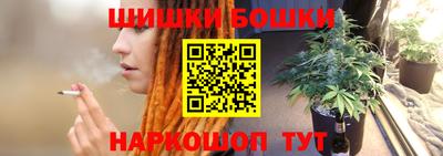 индика Абакан