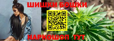 индика Абакан