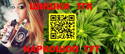 индика Абакан