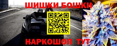 индика Абакан